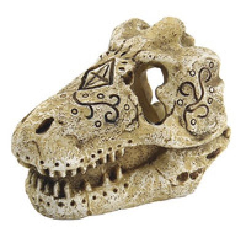 Superfish Skull T Rex S